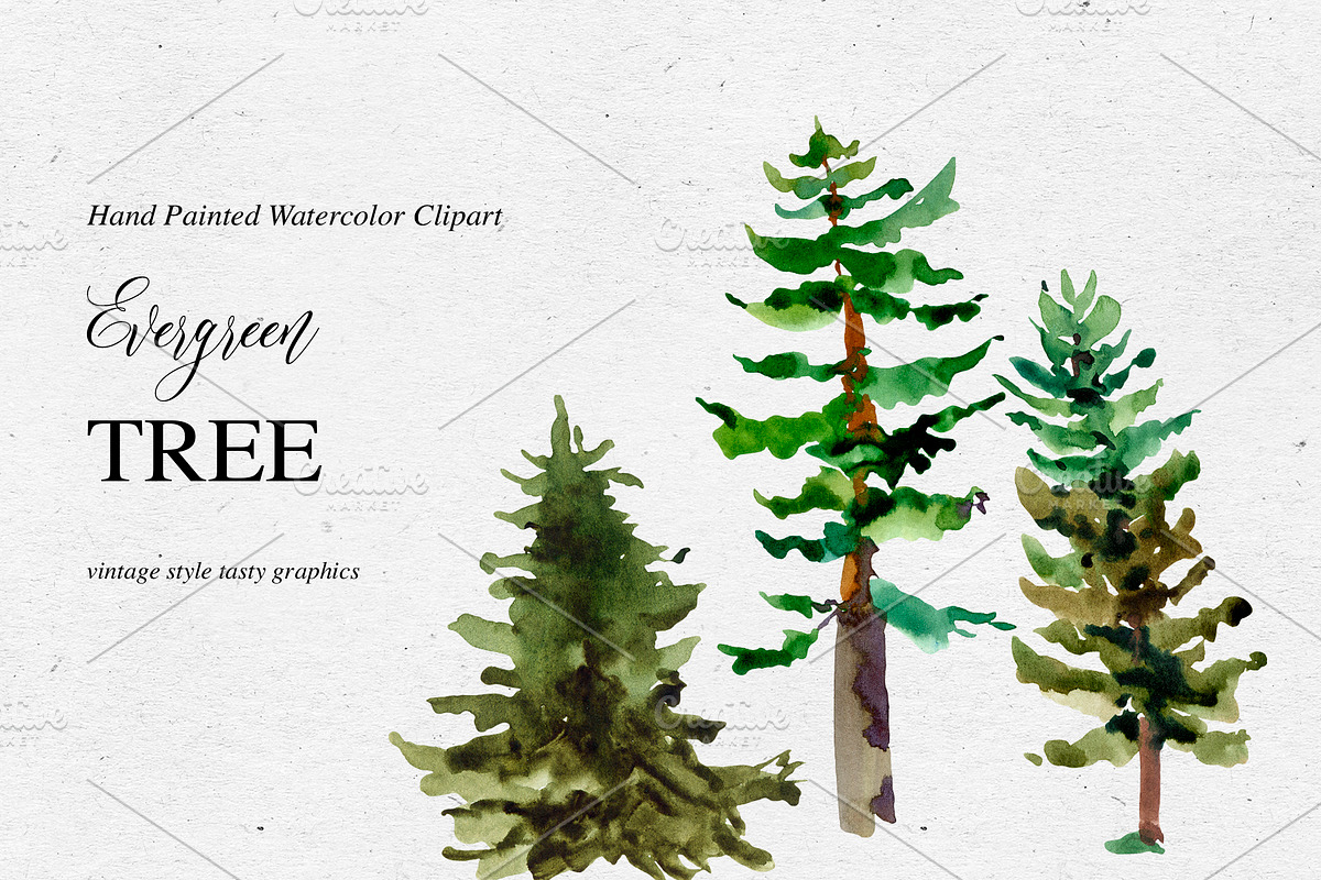 Watercolor Tree Clipart, an Illustration by Belusuab (Photo 2 of 10)