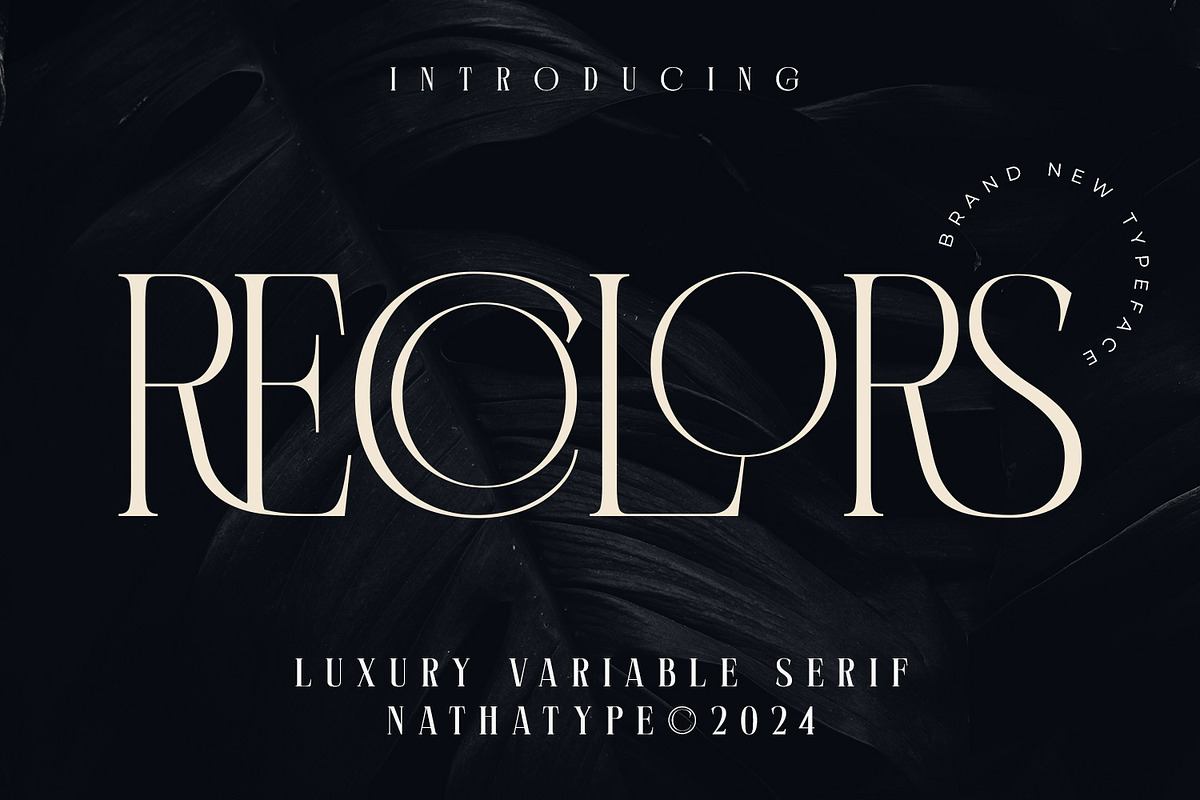 Recolors, a Serif Font by Nathatype (Photo 1 of 15)