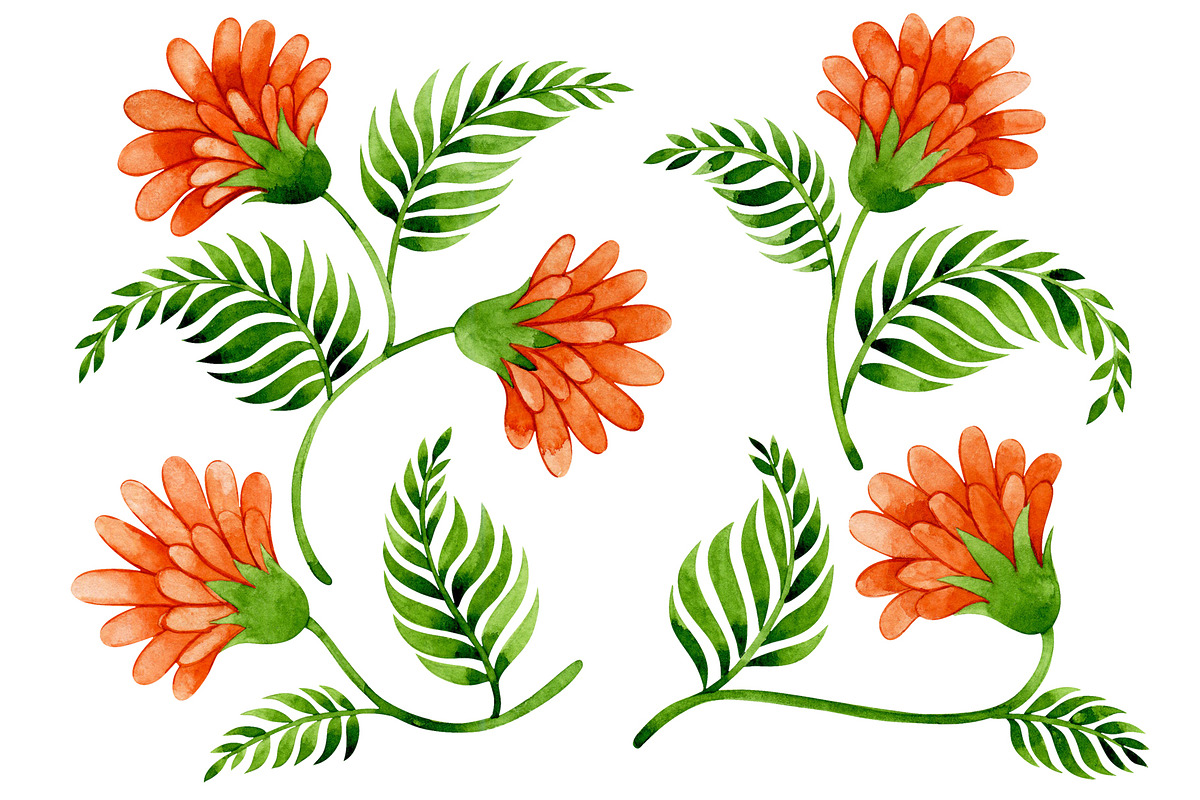 Collection of floral patterns, a Pattern Graphic by made by Tanya (Photo 2 of 4)