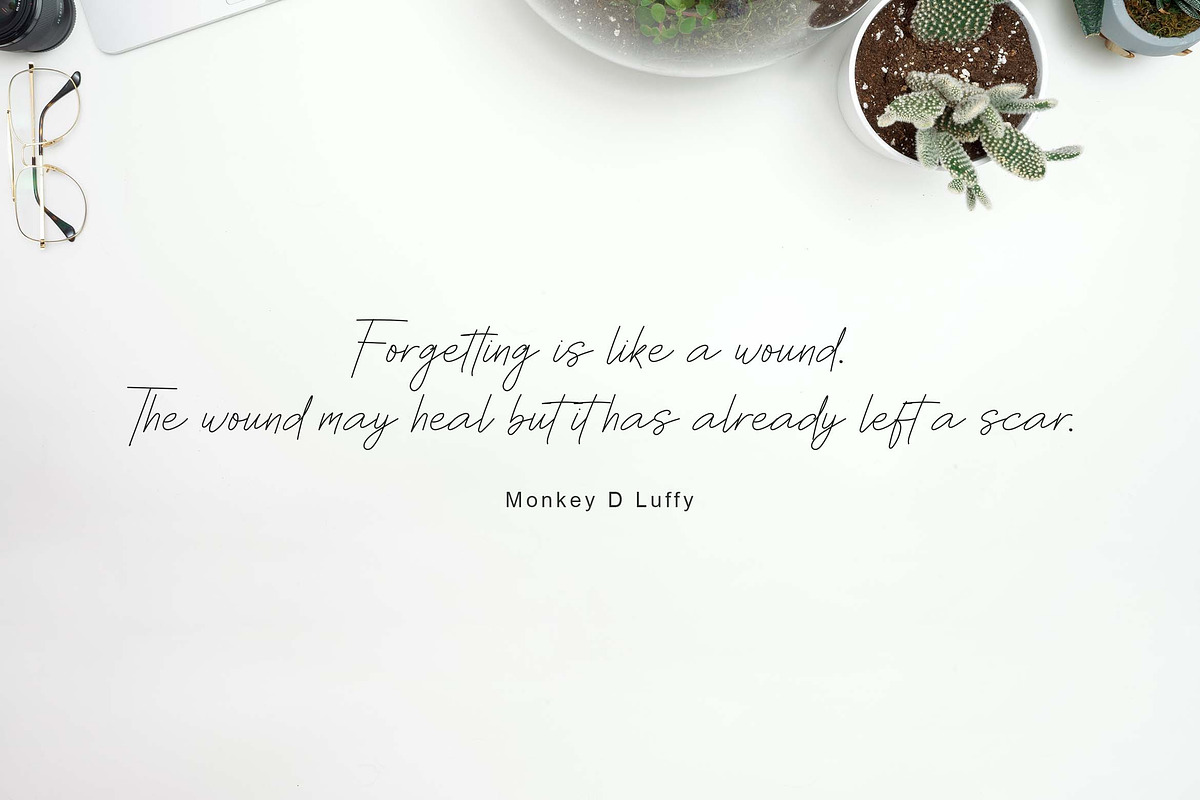 Pacifista, a Script Font by Zelda Graphic (Photo 3 of 6)