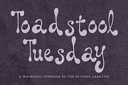 Toadstool Tuesday Retro Folk Display, a Sans Serif Font by The October Creative (Thumbnail 1 of 8)