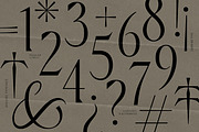 Aveline, Soft Serif with Ligatures, a Serif Font by CarmineType (Thumbnail 24 of 28)
