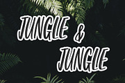 Darkrooms Brushed Font, a Sans Serif Font by Giant Design (Thumbnail 8 of 10)
