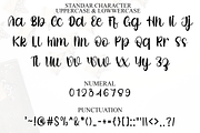 Pinky Bloom, a Handwritten Font by InermediaSTUDIO (Thumbnail 8 of 8)