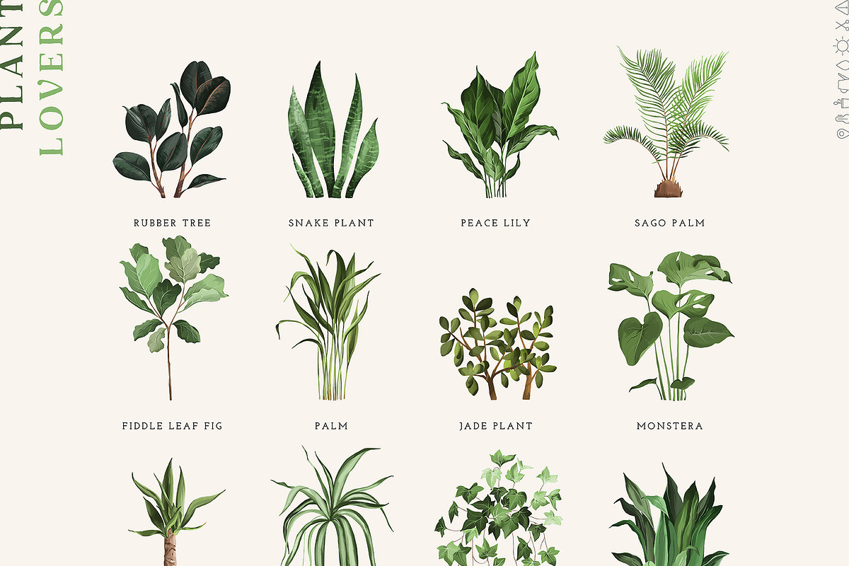 Plant Lovers Collection, a Texture Illustration by Julia Dreams (Photo 2 of 12)