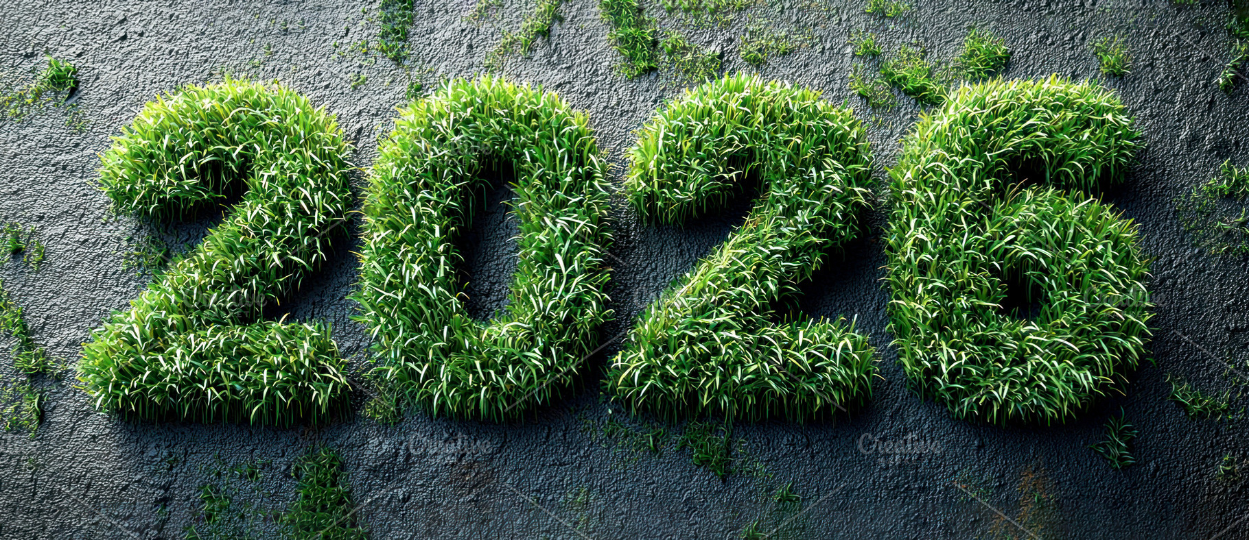 Lush grass covered 2026 numbers growing from dark textured stone, a Background Photo by José Manuel Gelpi