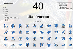 Life Of Amazon