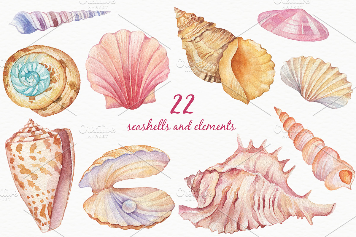 Watercolor Seashells, an Illustration by Irina Diasli (Photo 2 of 9)