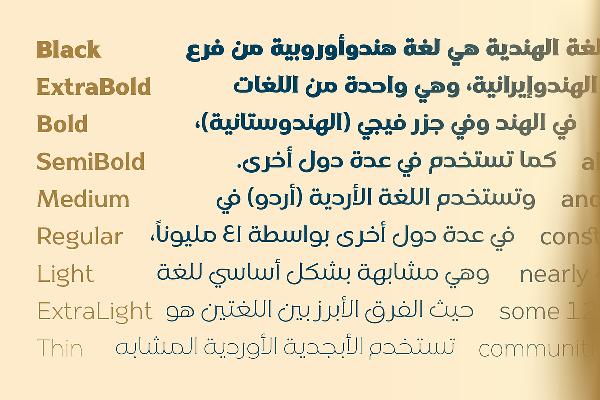 Naveid Latin & Arabic Font Black, a Serif Font by Namela Studio (Photo 2 of 7)