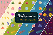 Magical Succulents, an Object Graphic by Chuchilko shop (Thumbnail 5 of 7)