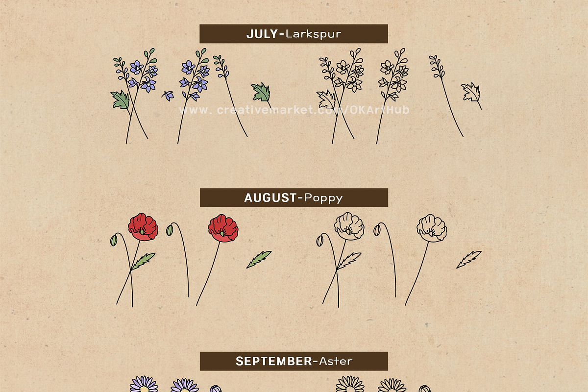 Birth Flowers Vector Clipart_B, a Decorative Illustration by OKArtHub (Photo 4 of 9)