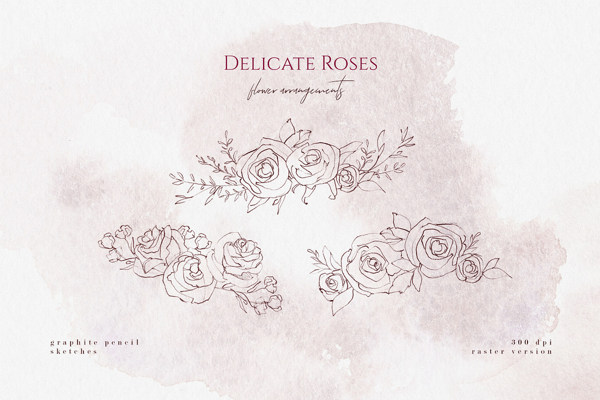 Delicate Roses - Hand Drawn Clipart, a Texture Illustration by Aquarellina (Photo 5 of 15)