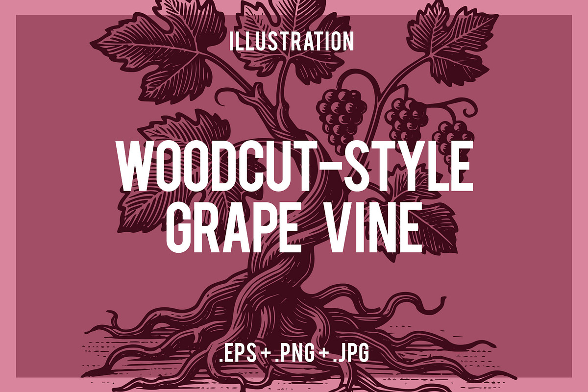 Woodcut-Style Grape Vine, a Food Illustration by Electric Ink (Photo 1 of 2)