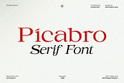 Picabro Serif Font, a Serif Font by Heinzel Std (Thumbnail 1 of 11)