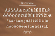 Regamel - Bold Serif Font, a Serif Font by Mbonster Design Studio (Thumbnail 11 of 12)