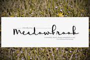 Meadowbrook, a Script Font by Brittney Murphy Design (Thumbnail 1 of 3)