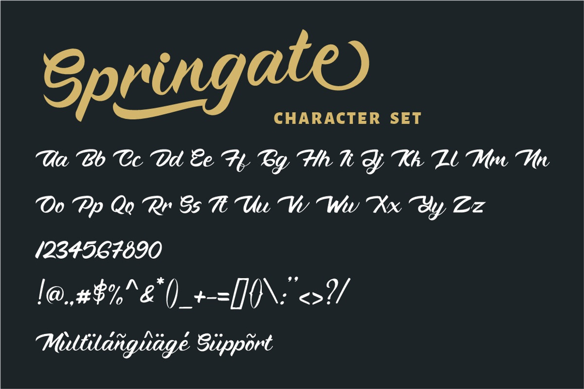 Springate - Modern Script Font, a Script Font by PutraCetol Studio (Photo 9 of 9)