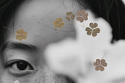 Oshibana Dried & Pressed Fall Leaves, an Object Graphic by Lana Elanor (Thumbnail 2 of 17)