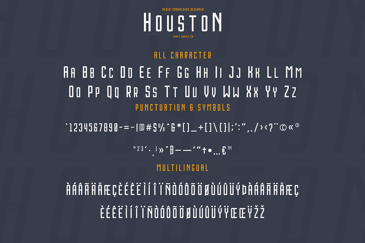 Houston Font Family, a Sans Serif Font by Craft Supply Co. (Photo 4 of 10)