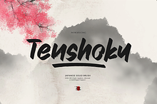 Tenshoku | Japanese Solid Brush
