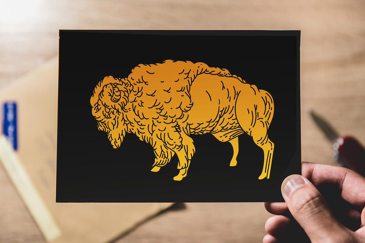 Woodland Creature Illustrations, an Animal Illustration by Inkwell Supply Co (Photo 9 of 10)