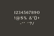 Porsha Richela Modern Serif Font, a Serif Font by UICreative (Thumbnail 7 of 11)