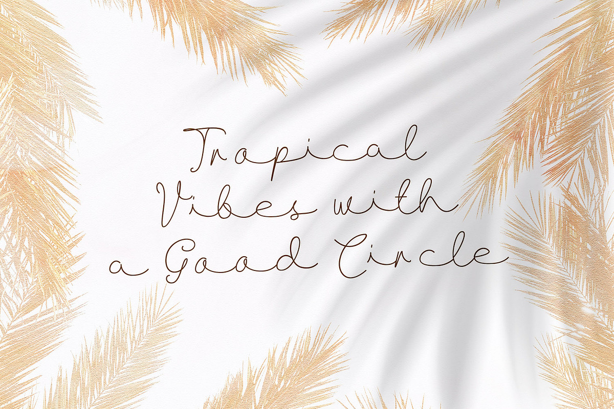 Allise - Signature Script Font, a Script Font by StringLabs (Photo 5 of 10)