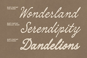 Rusty Fantasy - Calligraphy Font, a Handwritten Font by Blankids Studio (Thumbnail 5 of 12)