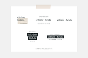 110 Minimal Logo Designs, a Branding & Logo Template by Erin Cassidy (Thumbnail 21 of 22)