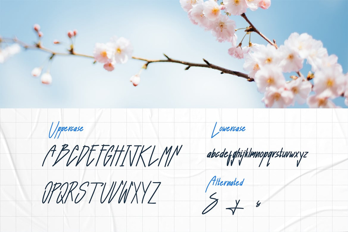 Shelley - Elegant Handwritten Script, a Script Font by Luna Shop (Photo 2 of 6)
