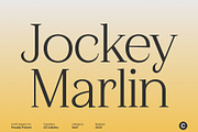 CS Calistha – Elegant Serif Font, a Serif Font by Craft Supply Co. (Thumbnail 4 of 8)