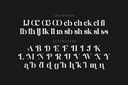 Coer Jogeds - Modern Serif Font, a Serif Font by Fype Co. (Thumbnail 6 of 6)
