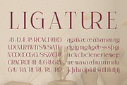 Celestira - Modern Elegant Luxury, a Serif Font by Qweera Studio (Thumbnail 9 of 12)