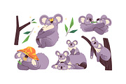 Cute koalas set, cards, patterns, an Animal Illustration by PaperTrident (Thumbnail 5 of 17)