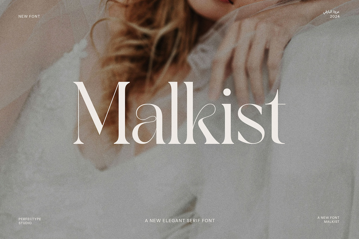Malkist Modern Serif Font, a Serif Font by Perfectype (Photo 1 of 8)