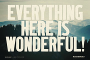Major League - A Wood Type Font, a Sans Serif Font by Komet & Flicker (Thumbnail 10 of 14)