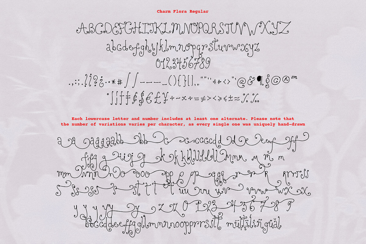 Charm Flora// Curly Font Set, a Handwritten Font by PeachCreme (Photo 16 of 18)