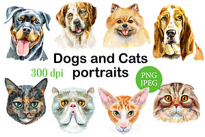 Dogs And Cats Portraits