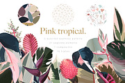 Pink tropical frames and patterns, an Illustration by marie dricot (Thumbnail 1 of 15)