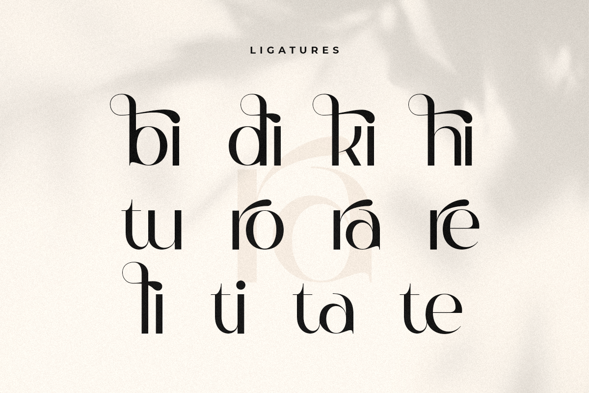 Begin - Modern Luxury Sans Serif, a Sans Serif Font by Sensatype (Photo 6 of 16)