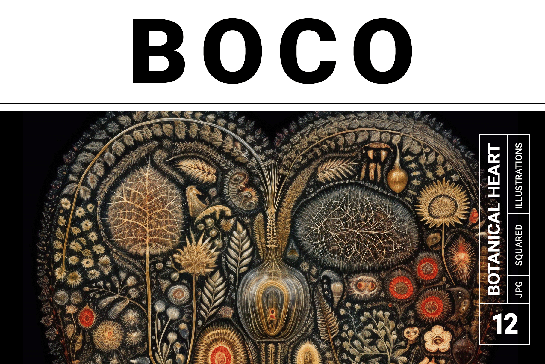 Boco Collection · Botanical Heart, an Education Illustration by milatovar