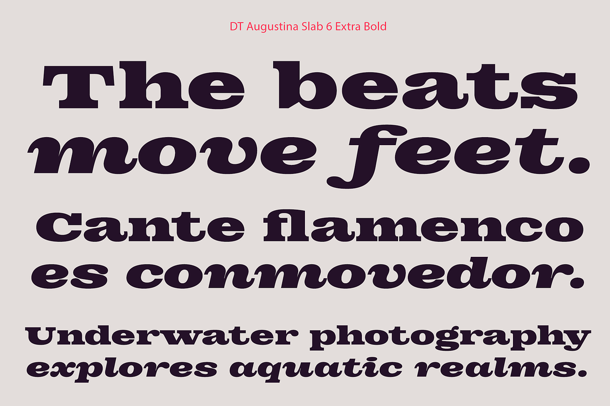 DT Augustina Slab 6 Subfamily, a Slab Serif Font by Deveze Type Foundry (Photo 16 of 30)