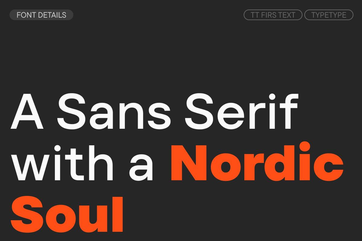 TT Firs Text, a Sans Serif Font by TypeType (Photo 3 of 15)