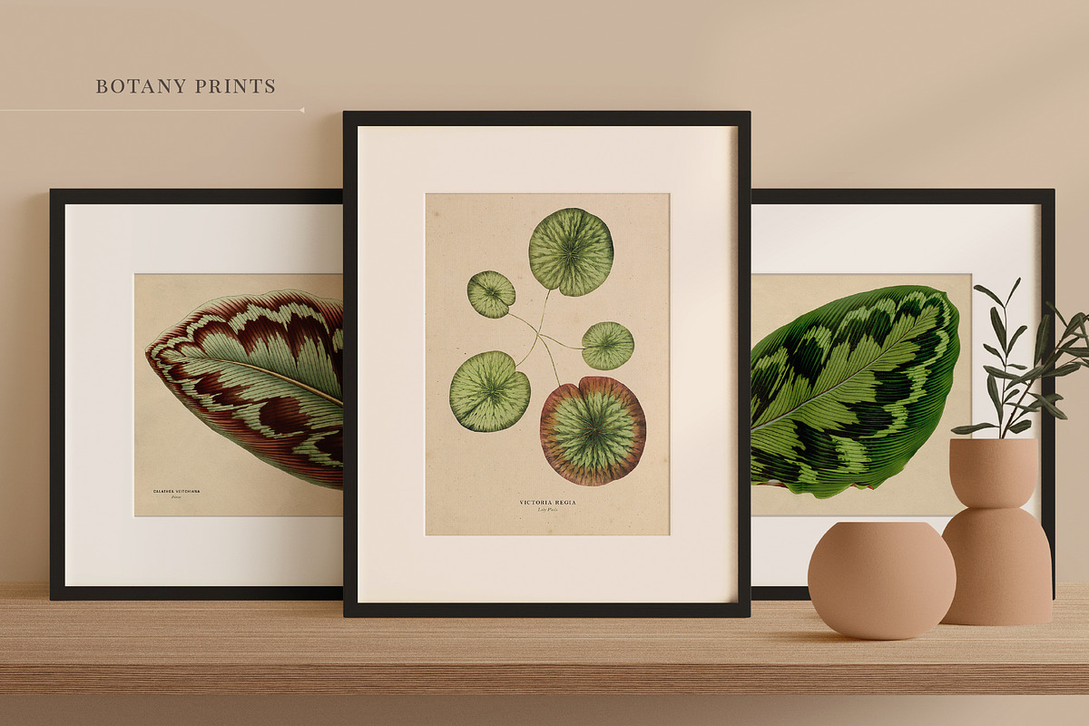BUNDLE: 200 Vintage Art Prints, a Decorative Illustration by The Object Atlas (Photo 20 of 22)