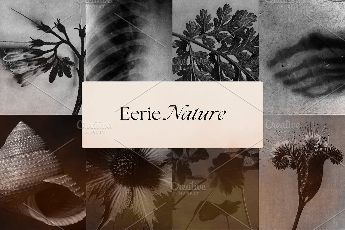 Dark Ephemera Stock Photo Bundle, a Person Photo by The Flossy Finch (Photo 11 of 16)