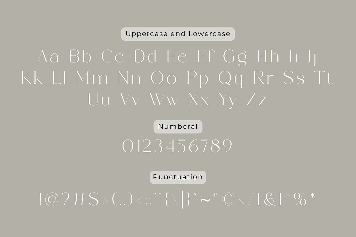 Bowsinge - A Beauty Modern Serif, a Serif Font by Muflieart (Photo 9 of 10)
