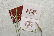 Mondy Modern Serif Font, a Serif Font by Perfectype (Thumbnail 8 of 8)