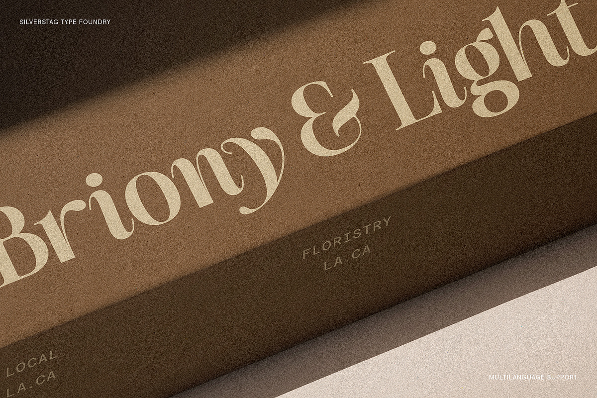 The Silver Editorial - 18 Fonts Pack, a Serif Font by SilverStag Type Foundry (Photo 9 of 30)