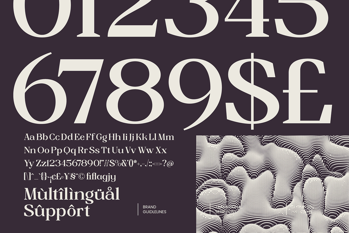 Mindken Transitional Serif Font, a Serif Font by AmorfaType