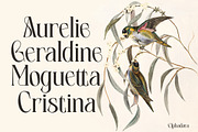 Elphadora Display Family, a Serif Font by Skypia (Thumbnail 4 of 15)